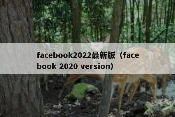 facebook2022最新版（facebook 2020 version） 第1张