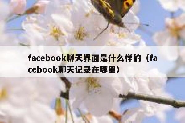 facebook聊天界面是什么样的（facebook聊天记录在哪里） 第1张