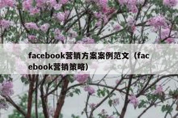 facebook营销方案案例范文(facebook营销策略) 第1张 facebook营销方案案例范文(facebook营销策略) 第1张