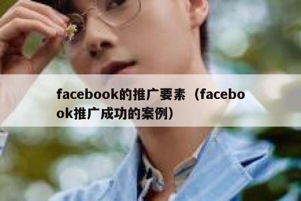 facebook的推广要素（facebook推广成功的案例） 第1张