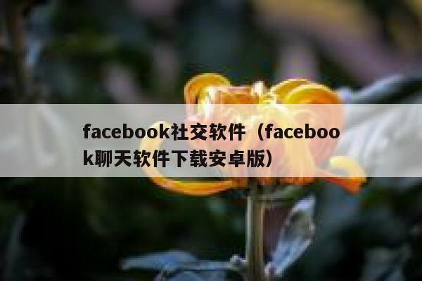 facebook社交软件（facebook聊天软件下载安卓版） 第1张
