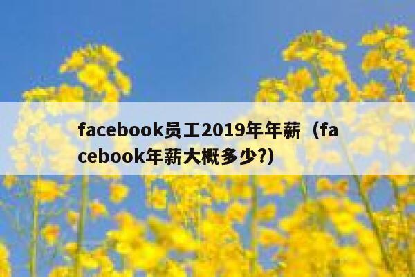 facebook员工2019年年薪(facebook年薪大概多少?) 第1张 facebook员工2019年年薪(facebook年薪大概多少?) 第1张