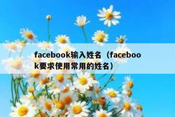 facebook输入姓名（facebook要求使用常用的姓名） 第1张