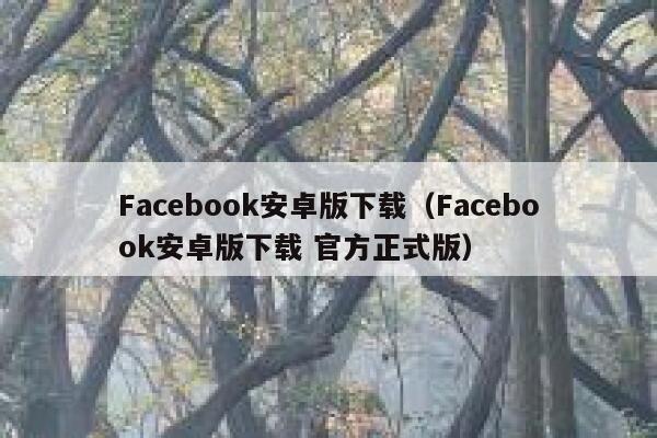 Facebook安卓版下载（Facebook安卓版下载 官方正式版） 第1张