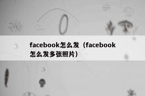 facebook怎么发(facebook怎么发多张照片) 第1张 facebook怎么发(facebook怎么发多张照片) 第1张
