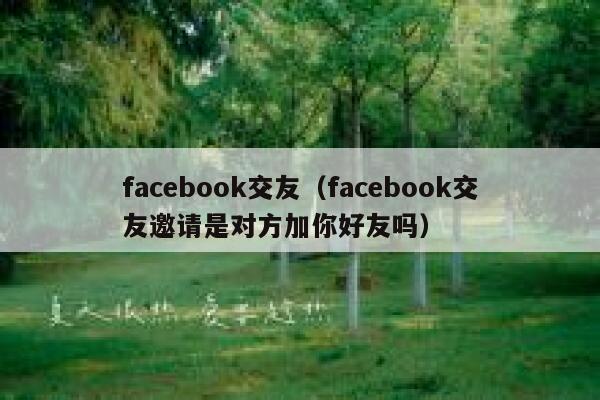 facebook交友（facebook交友邀请是对方加你好友吗） 第1张