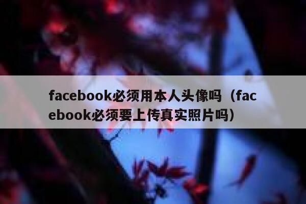 facebook必须用本人头像吗（facebook必须要上传真实照片吗） 第1张
