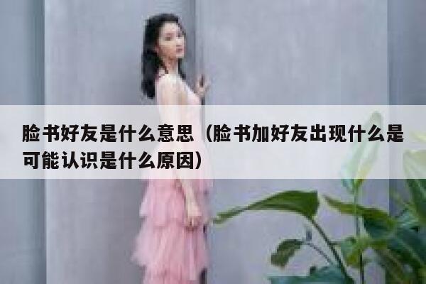 脸书好友是什么意思(脸书加好友出现什么是可能认识是什么原因) 第1张 脸书好友是什么意思(脸书加好友出现什么是可能认识是什么原因) 第1张