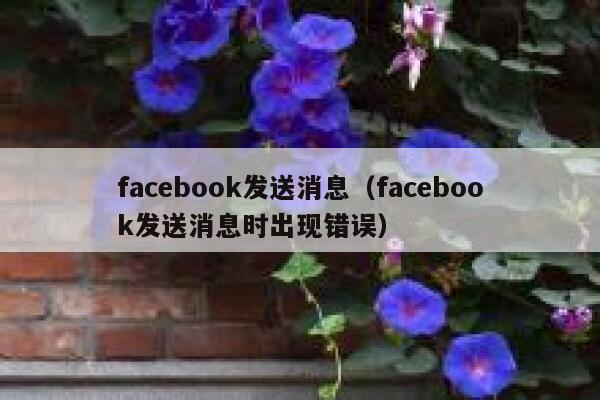 facebook发送消息(facebook发送消息时出现错误) 第1张 facebook发送消息(facebook发送消息时出现错误) 第1张