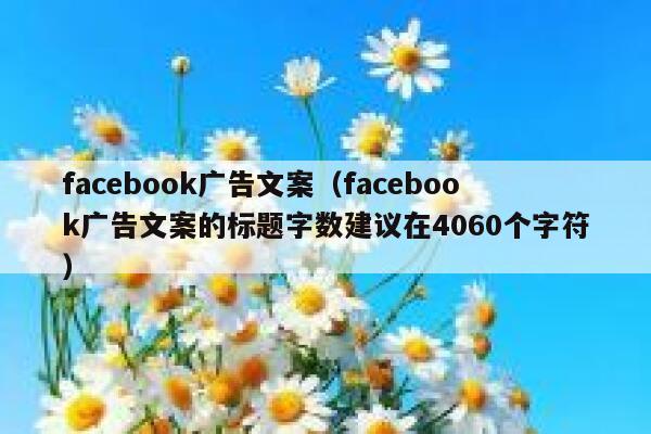facebook广告文案(facebook广告文案的标题字数建议在4060个字符) 第1张 facebook广告文案(facebook广告文案的标题字数建议在4060个字符) 第1张