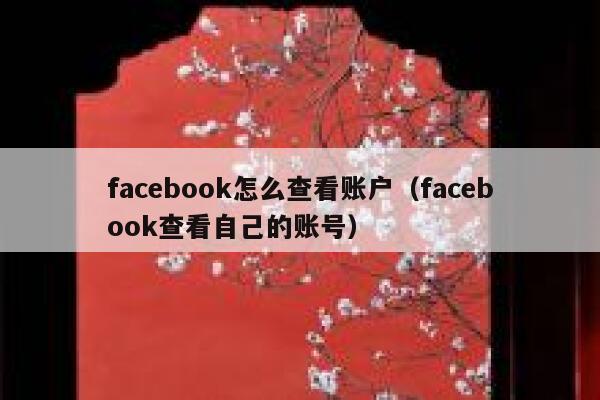 facebook怎么查看账户（facebook查看自己的账号） 第1张