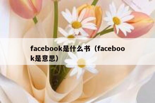 facebook是什么书（facebook是意思） 第1张