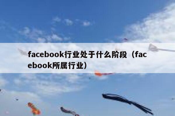 facebook行业处于什么阶段（facebook所属行业） 第1张