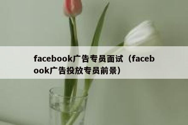 facebook广告专员面试(facebook广告投放专员前景) 第1张 facebook广告专员面试(facebook广告投放专员前景) 第1张