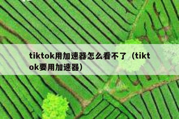 tiktok用加速器怎么看不了（tiktok要用加速器） 第1张