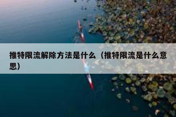 推特限流解除方法是什么（推特限流是什么意思） 第1张