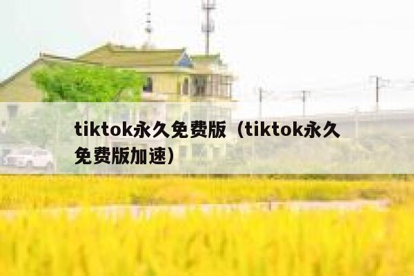 tiktok永久免费版（tiktok永久免费版加速） 第1张