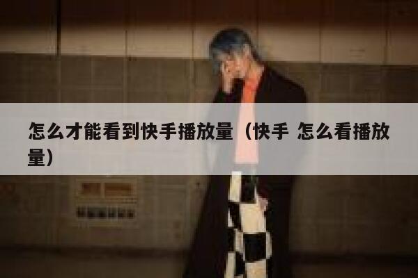 怎么才能看到快手播放量（快手 怎么看播放量） 第1张