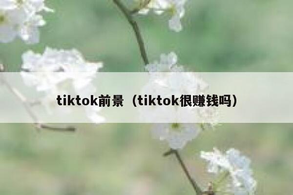 tiktok前景（tiktok很赚钱吗） 第1张