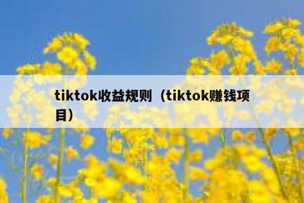 tiktok收益规则（tiktok赚钱项目） 第1张