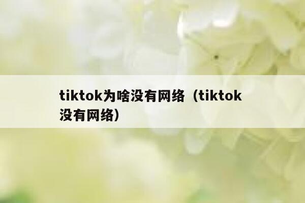 tiktok为啥没有网络（tiktok 没有网络） 第1张