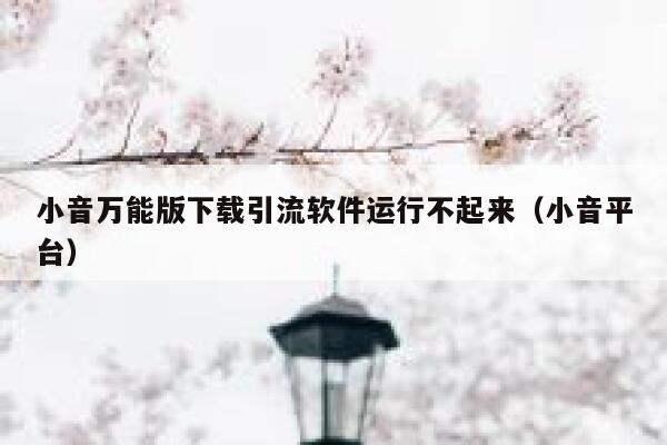 小音万能版下载引流软件运行不起来（小音平台） 第1张