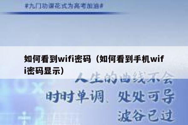 如何看到wifi密码（如何看到手机wifi密码显示） 第1张