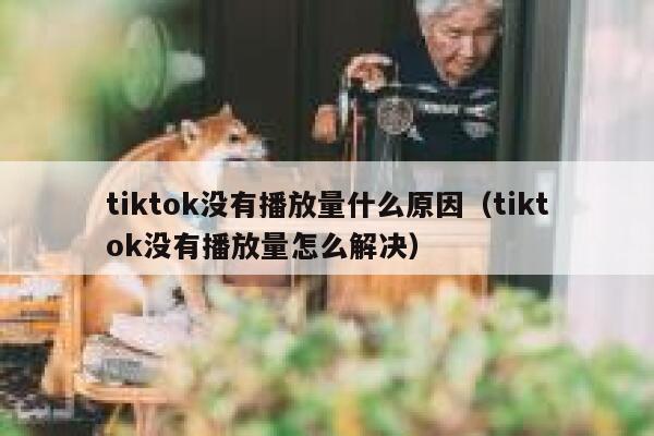 tiktok没有播放量什么原因（tiktok没有播放量怎么解决） 第1张