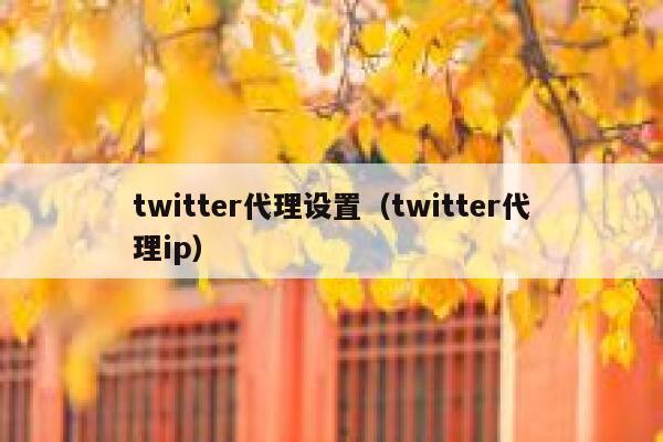 twitter代理设置（twitter代理ip） 第1张