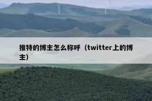 推特的博主怎么称呼（twitter上的博主） 第1张