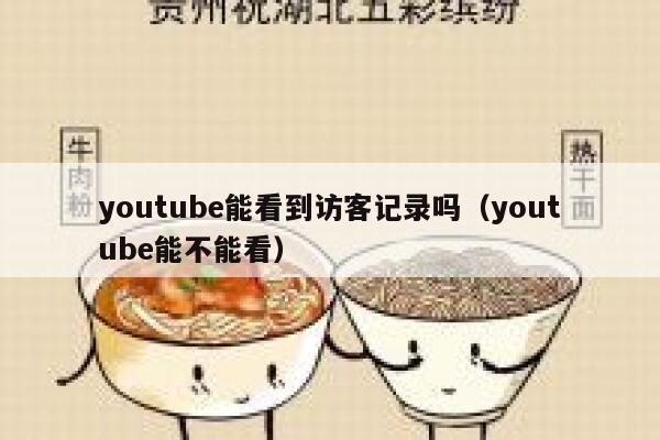 youtube能看到访客记录吗（youtube能不能看） 第1张