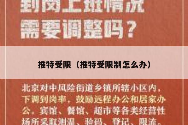 推特受限（推特受限制怎么办） 第1张