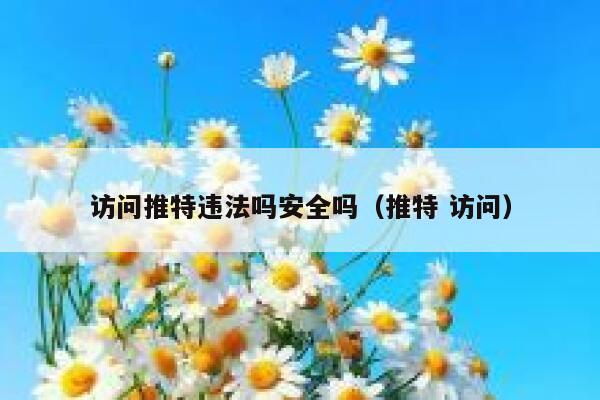 访问推特违法吗安全吗（推特 访问） 第1张