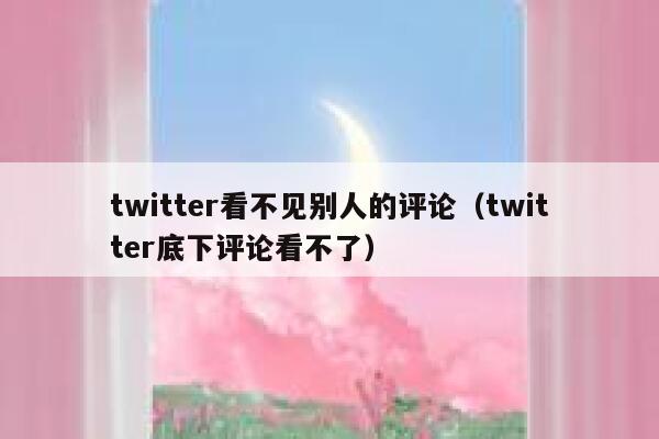 twitter看不见别人的评论（twitter底下评论看不了） 第1张