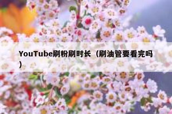 YouTube刷粉刷时长(刷油管要看完吗) 第1张 YouTube刷粉刷时长(刷油管要看完吗) 第1张