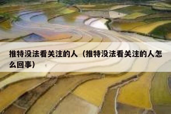 推特没法看关注的人（推特没法看关注的人怎么回事） 第1张