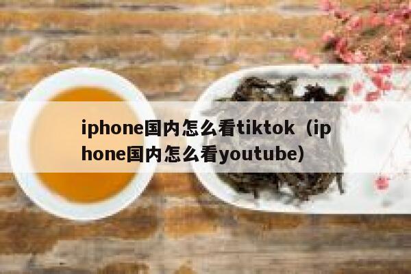 iphone国内怎么看tiktok(iphone国内怎么看youtube) 第1张 iphone国内怎么看tiktok(iphone国内怎么看youtube) 第1张