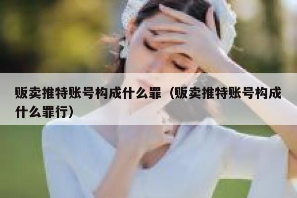 贩卖推特账号构成什么罪(贩卖推特账号构成什么罪行) 第1张 贩卖推特账号构成什么罪(贩卖推特账号构成什么罪行) 第1张