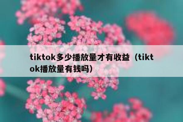 tiktok多少播放量才有收益（tiktok播放量有钱吗） 第1张