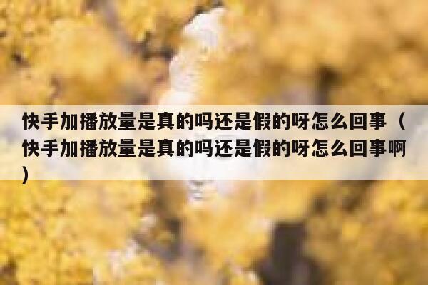 快手加播放量是真的吗还是假的呀怎么回事（快手加播放量是真的吗还是假的呀怎么回事啊） 第1张