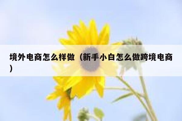 境外电商怎么样做（新手小白怎么做跨境电商） 第1张
