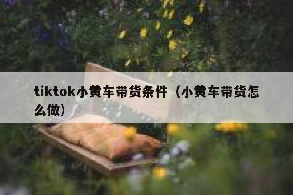 tiktok小黄车带货条件(小黄车带货怎么做) 第1张 tiktok小黄车带货条件(小黄车带货怎么做) 第1张
