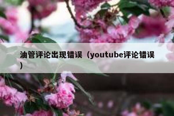 油管评论出现错误（youtube评论错误） 第1张