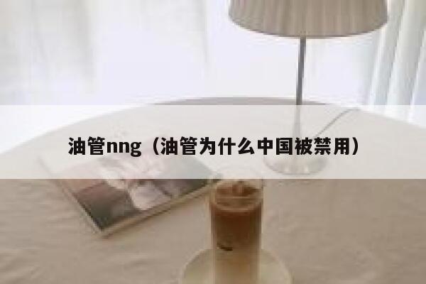 油管nng（油管为什么中国被禁用） 第1张