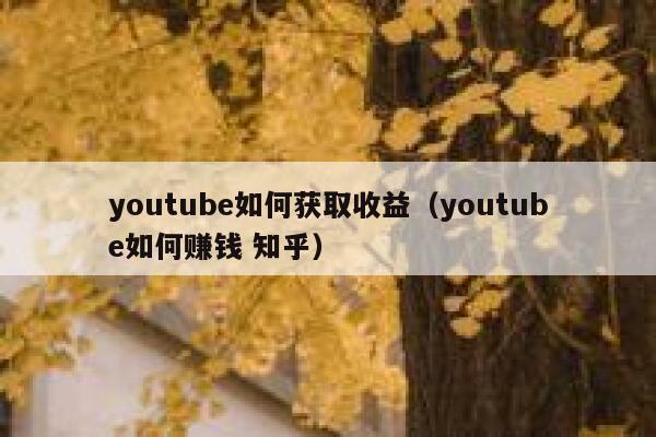 youtube如何获取收益(youtube如何赚钱 知乎) 第1张 youtube如何获取收益(youtube如何赚钱 知乎) 第1张