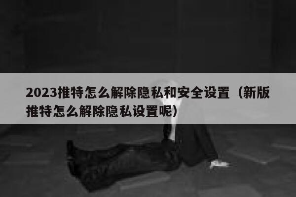 2023推特怎么解除隐私和安全设置（新版推特怎么解除隐私设置呢） 第1张