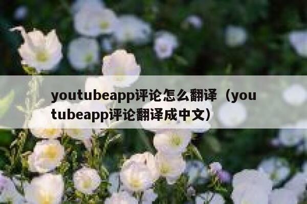 youtubeapp评论怎么翻译（youtubeapp评论翻译成中文） 第1张