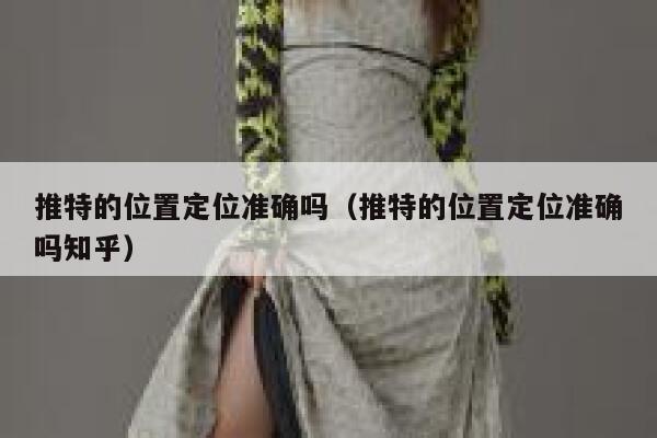 推特的位置定位准确吗（推特的位置定位准确吗知乎） 第1张