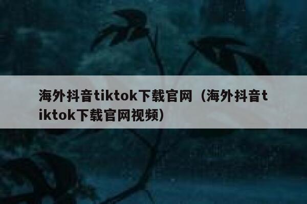 海外抖音tiktok下载官网（海外抖音tiktok下载官网视频） 第1张