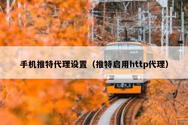 手机推特代理设置（推特启用http代理） 第1张